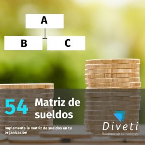 Matriz de sueldos estructurado para la organización