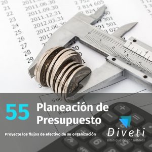 PLaneación de presupuesto para la organización